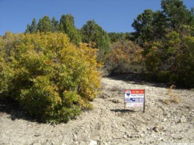 287 Shadow Canyon Dr #287, Fairview, UT 84629 — photo 7