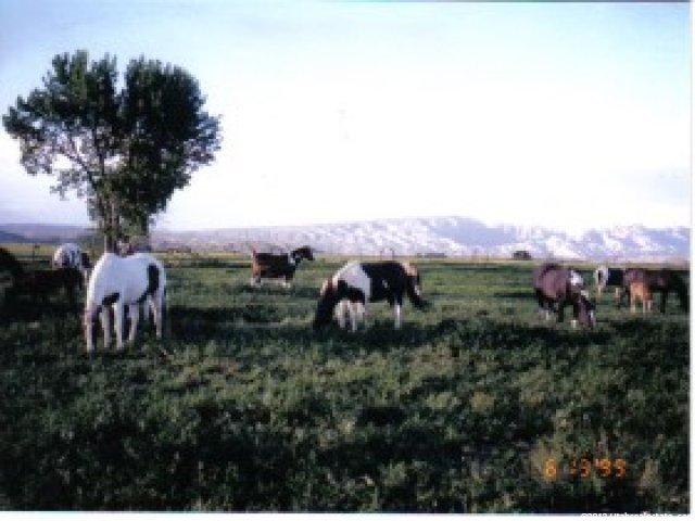 8045 E 6000 S, Jensen, UT 84035 — photo 3