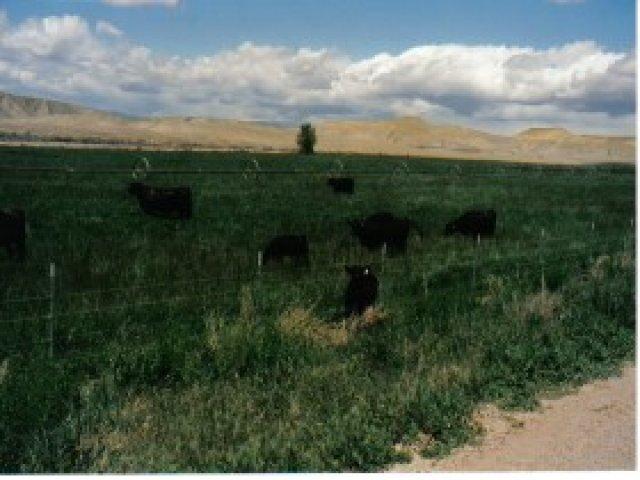 8045 E 6000 S, Jensen, UT 84035 — photo 5