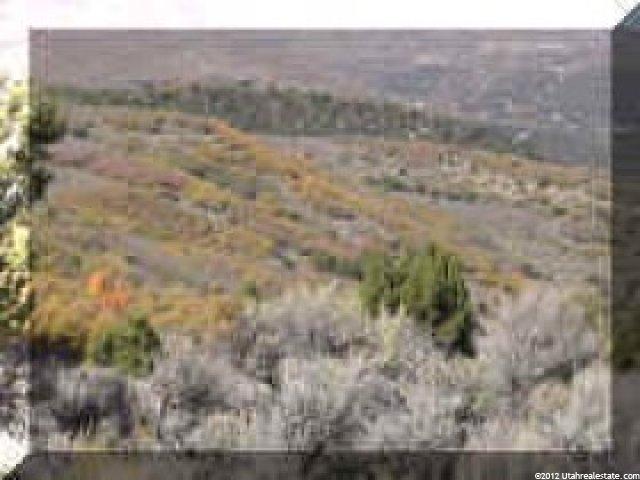 57 Big Hollow, Fairview, UT 84629 — photo 4