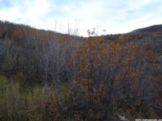 89 Matterhorn #88, Midway, UT 84049 — photo 2