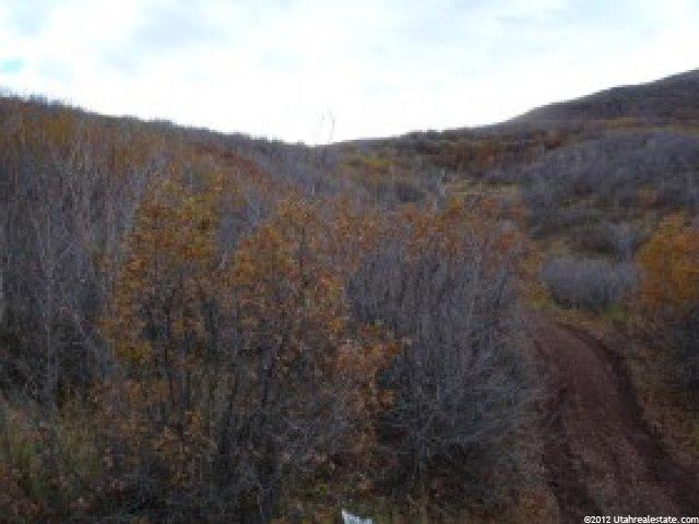 89 Matterhorn #88, Midway, UT 84049 — photo 3