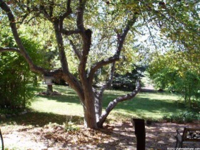 3894 S 775 W, Bountiful, UT 84010 — photo 10