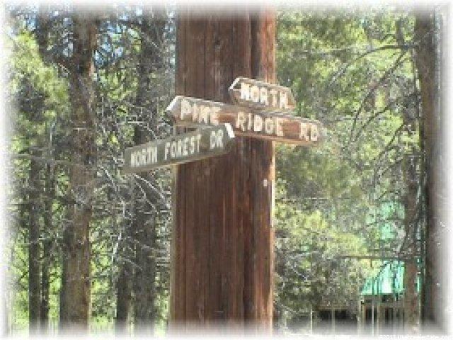 301 Manor Lands, Summit County, UT 84036 — photo 12