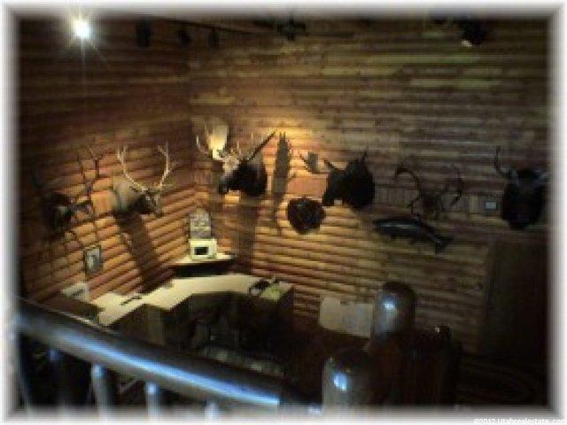 301 Manor Lands, Summit County, UT 84036 — photo 4