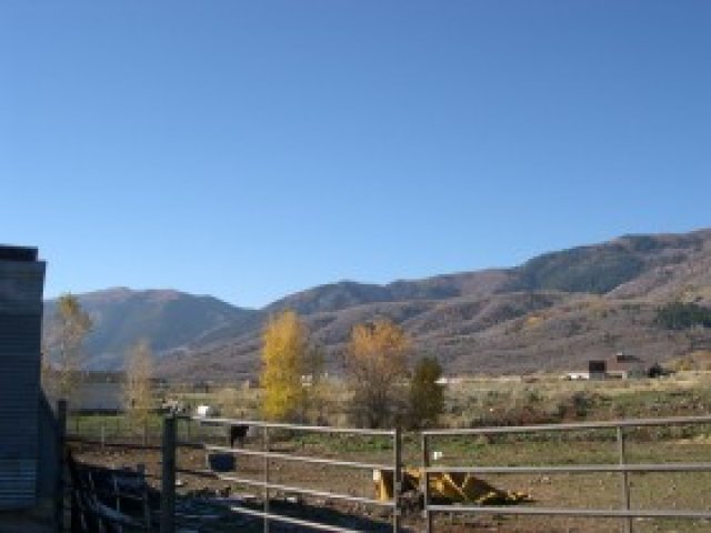5825 N 3100 E, Liberty, UT 84310 — photo 10