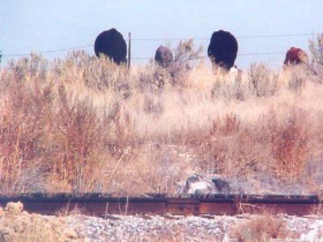 1469 W 400 S, Pingree, ID 83262 — photo 3