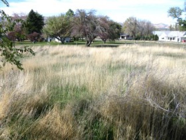 161 N 200 E, Mona, UT 84645 — photo 11