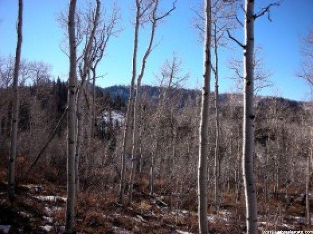 1712 Blue Spruce, Timber Lakes, UT 84032 — photo 2