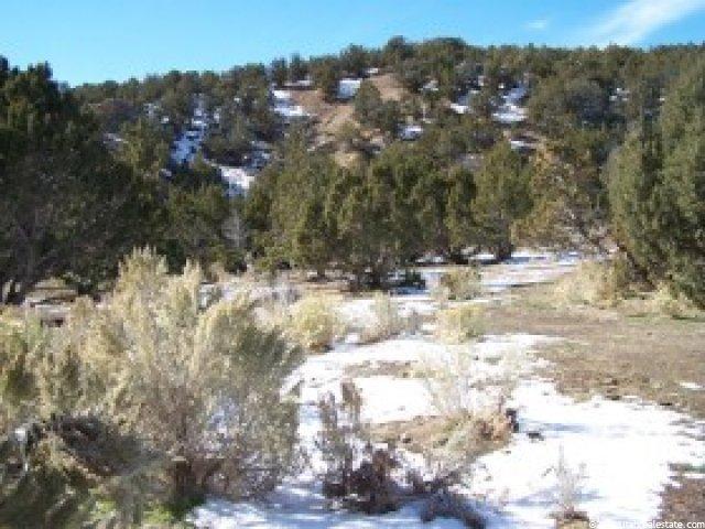79550 W Etna Rd, Grouse Creek, UT 84313 — photo 3