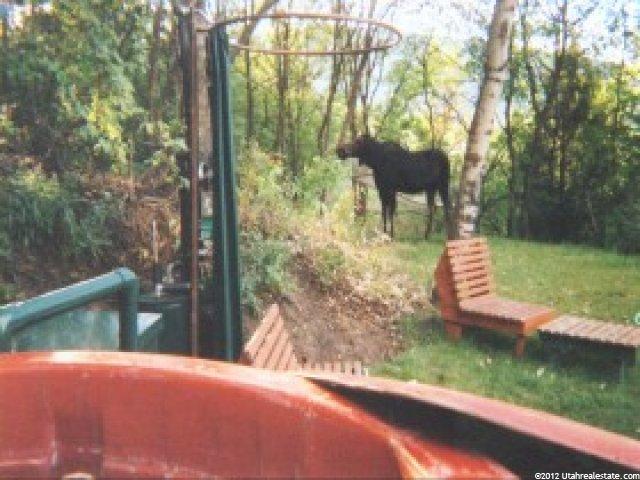 37 Aspen Loop, Eden, UT 84310 — photo 7