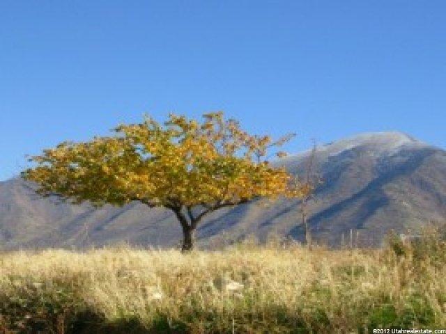 68 N Clark Ln, Elk Ridge, UT 84651 — photo 8