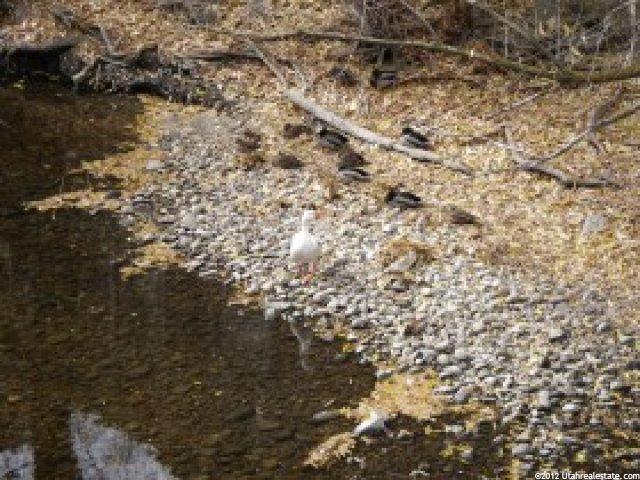 446 Creekside Cir, Murray, UT 84107 — photo 7
