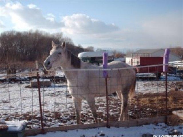 447 N Main St, Willard, UT 84340 — photo 8