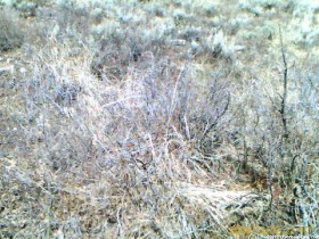 37 Legacy #37, Cache County, UT 84328 — photo 2