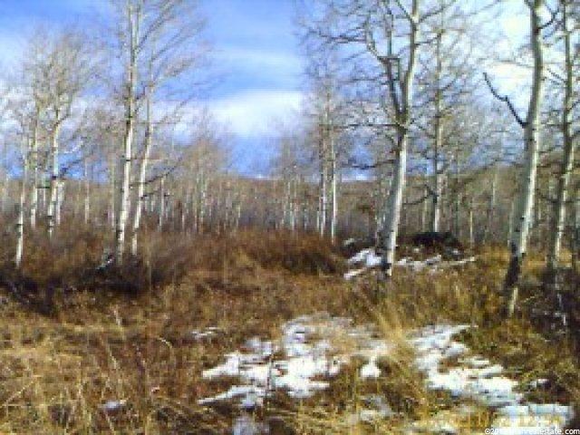 37 Legacy #37, Cache County, UT 84328 — photo 5