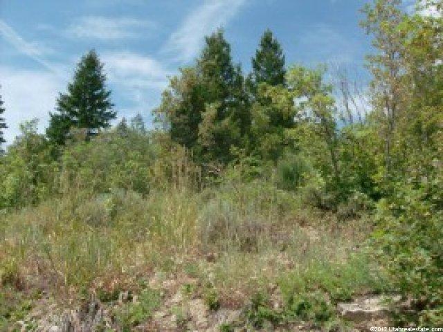72 Lot Squaw Crk #72, Bancroft, ID 83217
