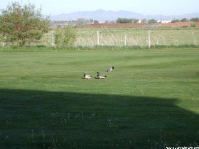 125 Hillsborough Dr, Pleasant View, UT 84414 — photo 9