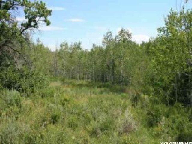 2408 Iron Mountain Dr, Park City, UT 84060 — photo 8