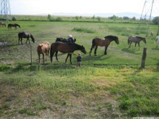 970 View Crest Ln, Kaysville, UT 84037 — photo 9