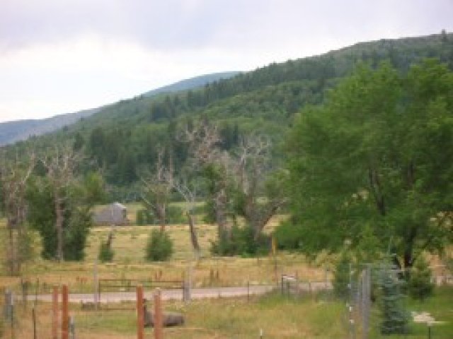 2948 N Highway 162, Eden, UT 84310 — photo 5
