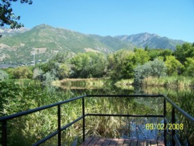 1073 E 4525 S, Ogden, UT 84403 — photo 9