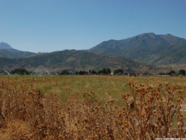 3191 S 2900 W, Charleston, UT 84032 — photo 10
