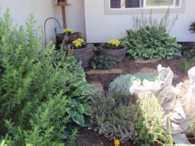 2329 N 1500 E, Ballard, UT 84066 — photo 12