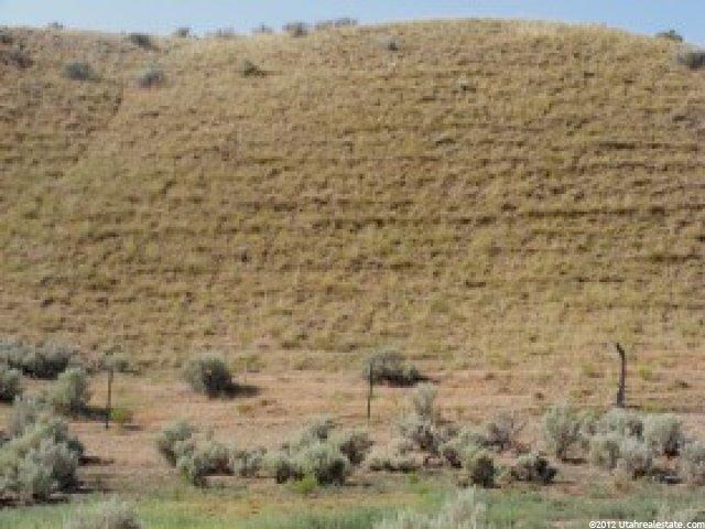 2082 W Mills, Juab County, UT 84648 — photo 3
