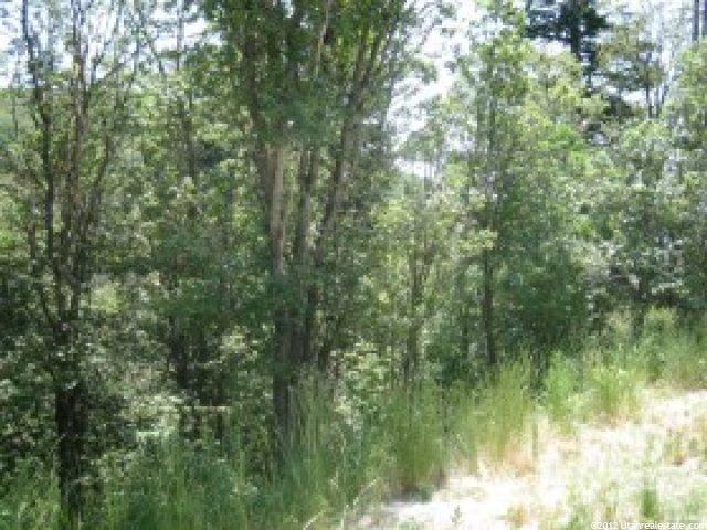 8 Lot 8 #8, Midway, UT 84049 — photo 2