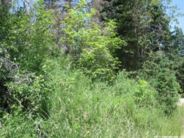 8 Lot 8 #8, Midway, UT 84049 — photo 11