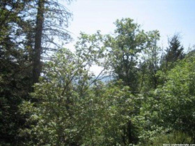 8 Lot 8 #8, Midway, UT 84049 — photo 3
