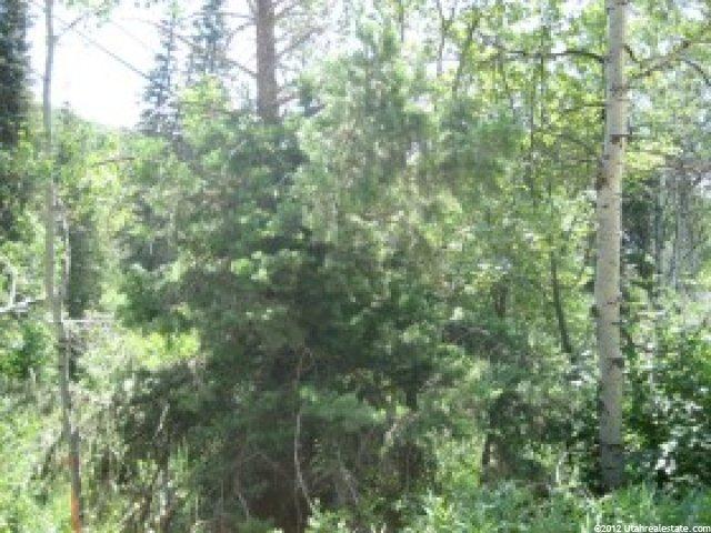 8 Lot 8 #8, Midway, UT 84049 — photo 5