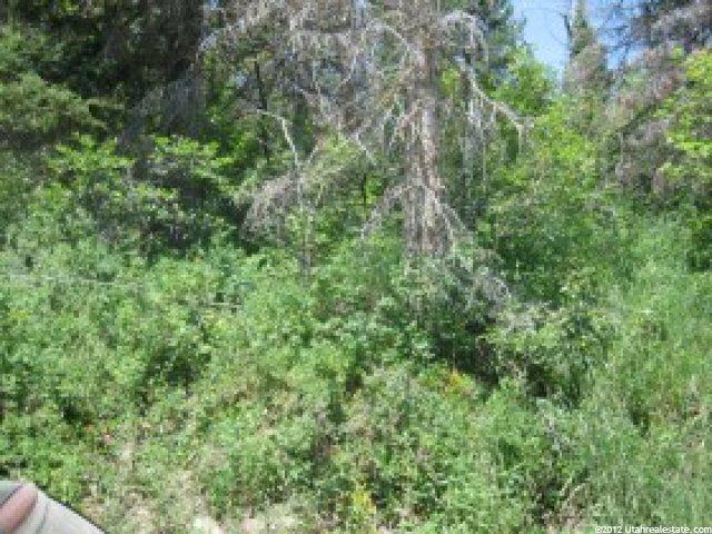 8 Lot 8 #8, Midway, UT 84049 — photo 7