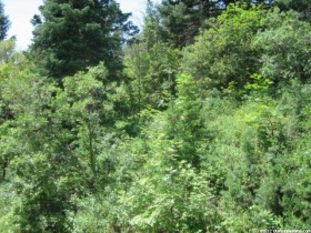 8 Lot 8 #8, Midway, UT 84049 — photo 9