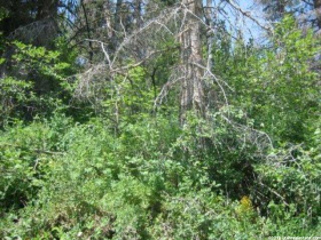 8 Lot 8 #8, Midway, UT 84049 — photo 10