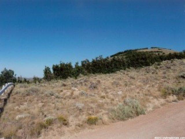 29 N Moose Horn Rd, Echo, UT 84024 — photo 5