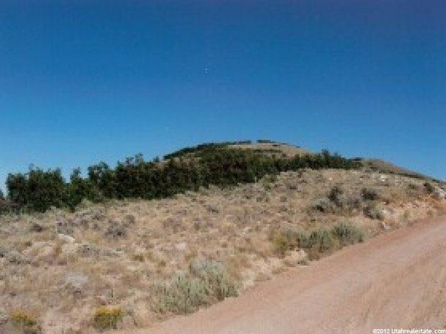 29 N Moose Horn Rd, Echo, UT 84024 — photo 6