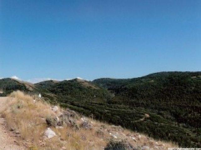 29 N Moose Horn Rd, Echo, UT 84024 — photo 7