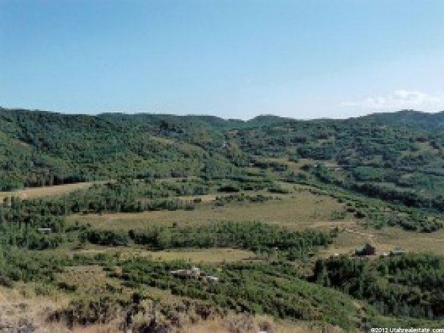 29 N Moose Horn Rd, Echo, UT 84024 — photo 8