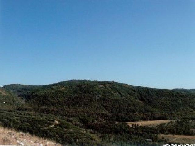 29 N Moose Horn Rd, Echo, UT 84024 — photo 9