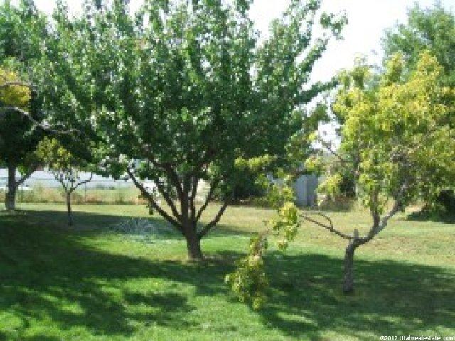 328 E 100 S, Lehi, UT 84043 — photo 10