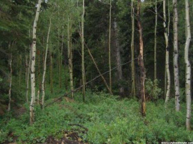 11626 E Aspen Rd #414, Timber Lakes, UT 84032 — photo 2