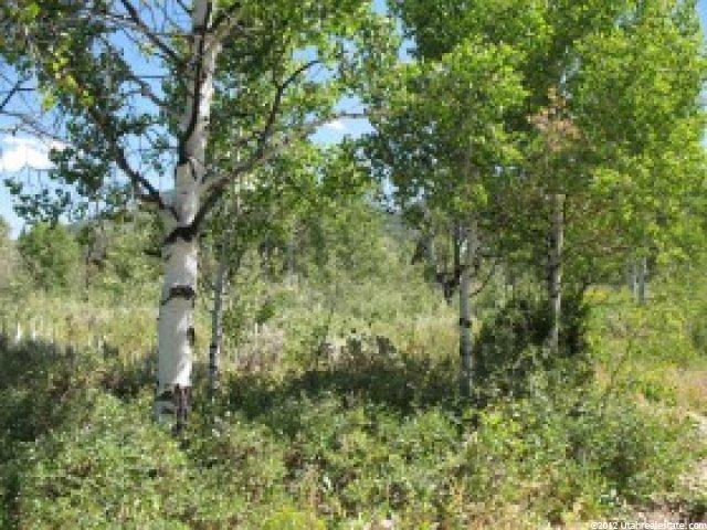 303 Ashley Dr #303, Oakley, UT 84055 — photo 2