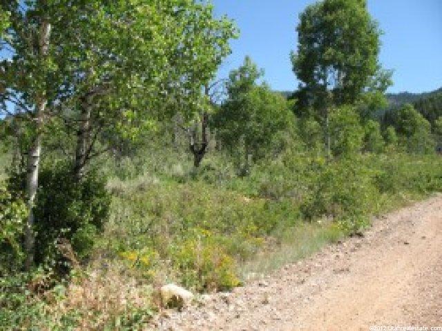303 Ashley Dr #303, Oakley, UT 84055 — photo 4