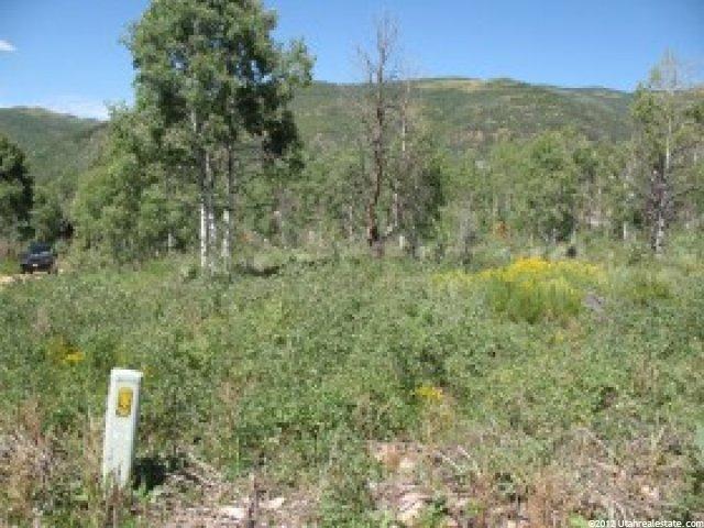 303 Ashley Dr #303, Oakley, UT 84055 — photo 5