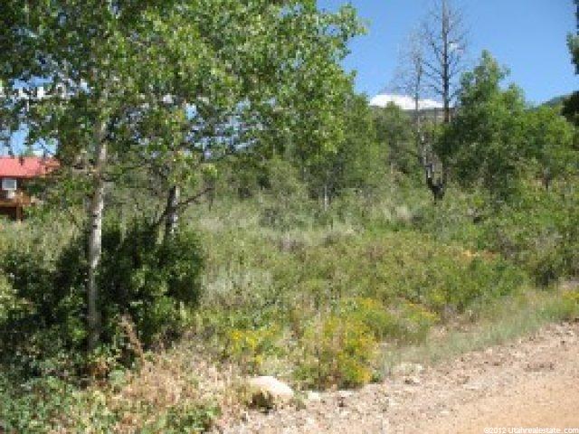 303 Ashley Dr #303, Oakley, UT 84055 — photo 6