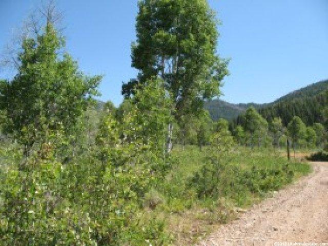 303 Ashley Dr #303, Oakley, UT 84055 — photo 7