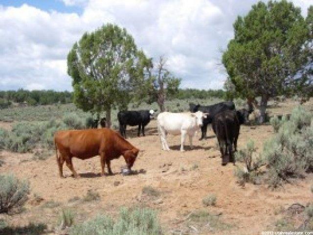 640 Deer Range, Kanab, UT 84741 — photo 6