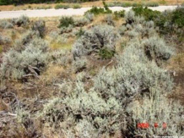 95 Pole Dr #24, Heber City, UT 84032 — photo 2